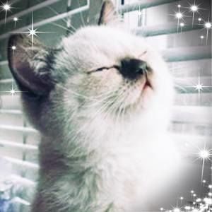 Meet your Posher, Neri